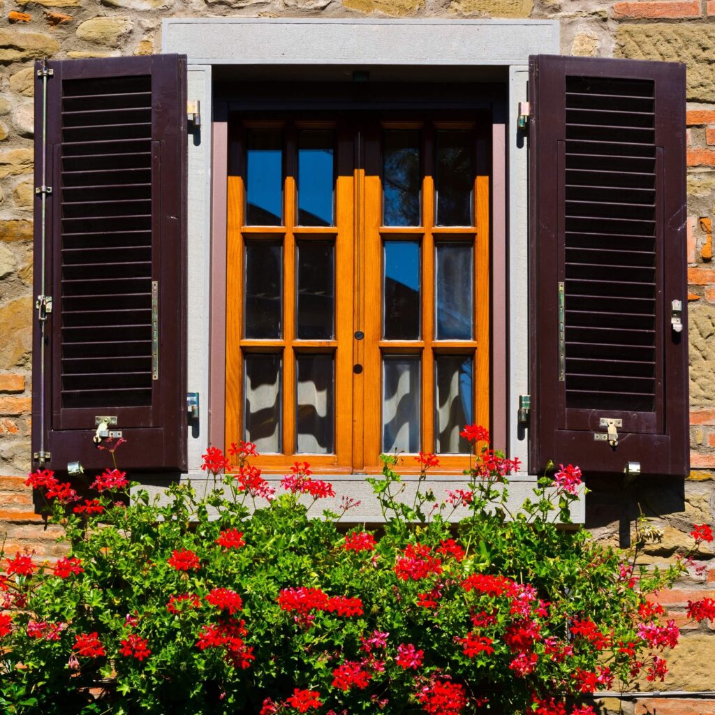 A window with shutters and plants with red flowers infront of it
